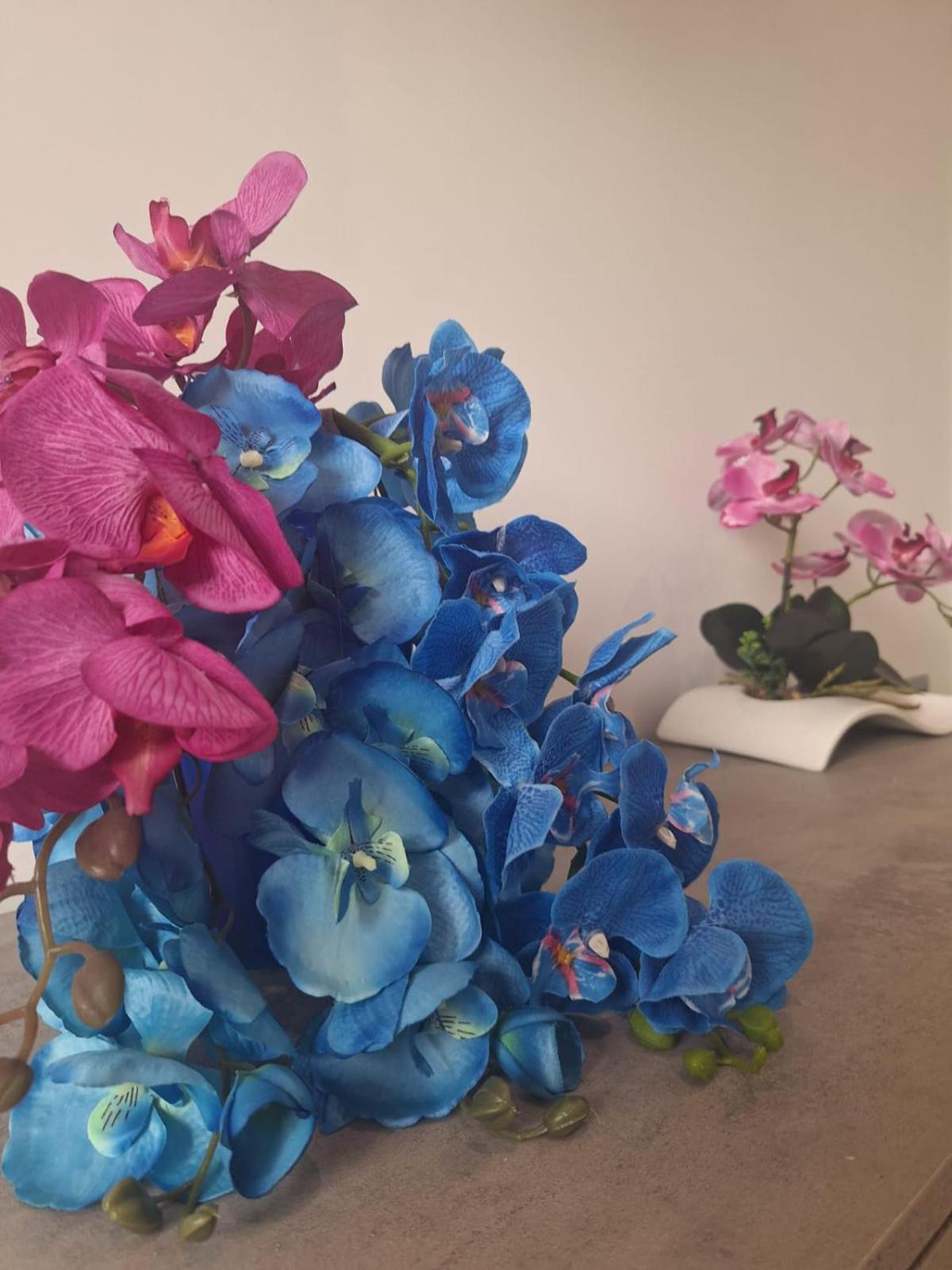 Grazia'S Home سانتّانييلّو المظهر الخارجي الصورة