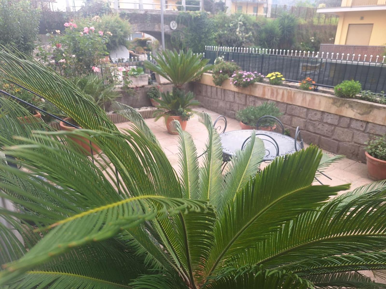 Grazia'S Home سانتّانييلّو المظهر الخارجي الصورة