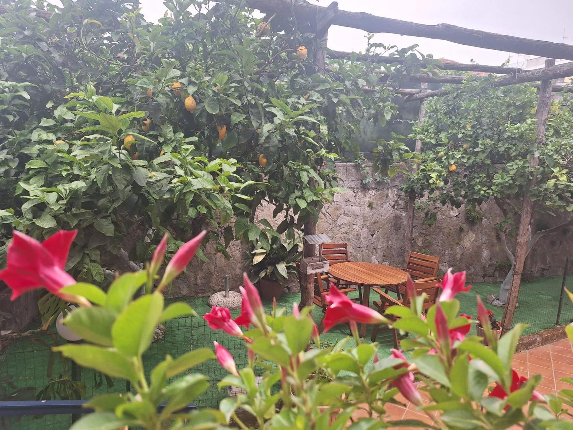 Grazia'S Home سانتّانييلّو المظهر الخارجي الصورة