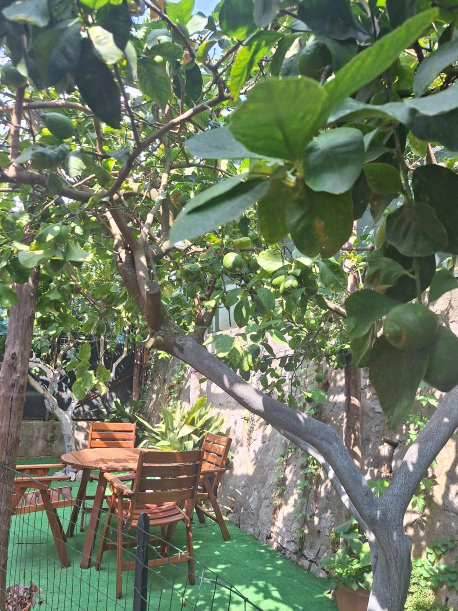 Grazia'S Home سانتّانييلّو المظهر الخارجي الصورة
